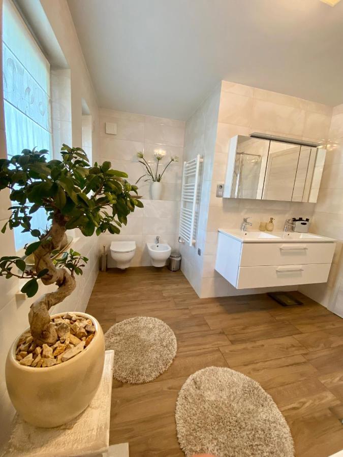 Hisa Helena Villa Kranj Buitenkant foto